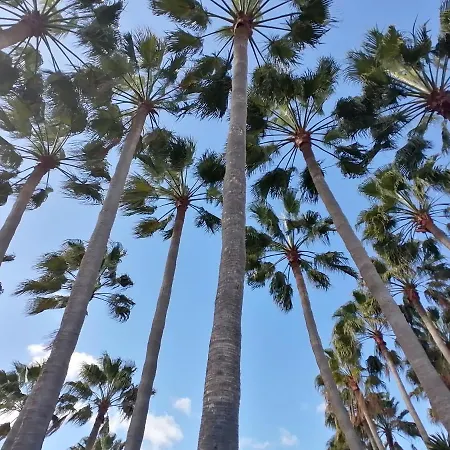 Castillo Mar- Casa Martini * Caleta de Fuste