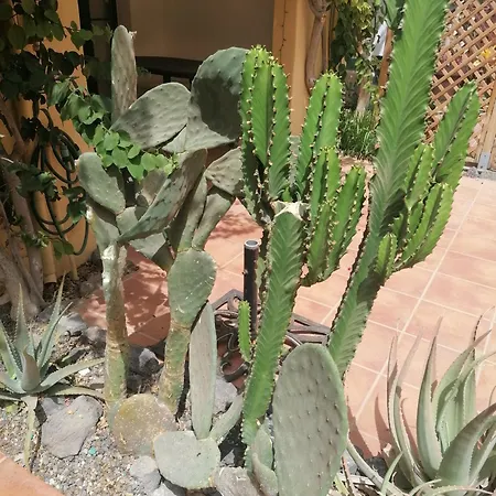 Castillo Mar- Casa Martini Apartament *